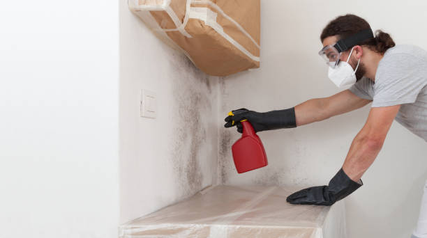 Professional Mold Remediation technician working in Locust Valley, NY